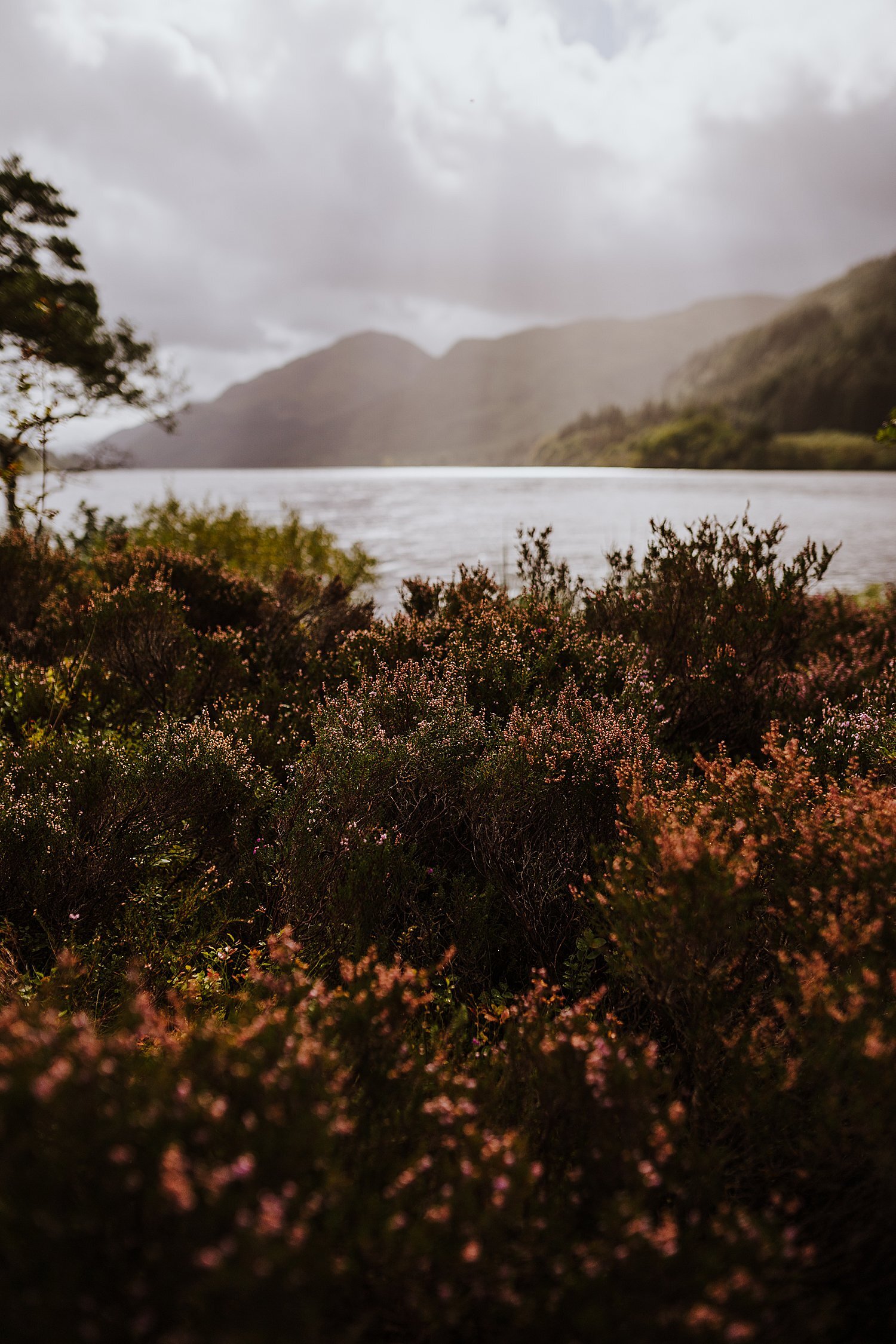 Scotland_0127.jpg