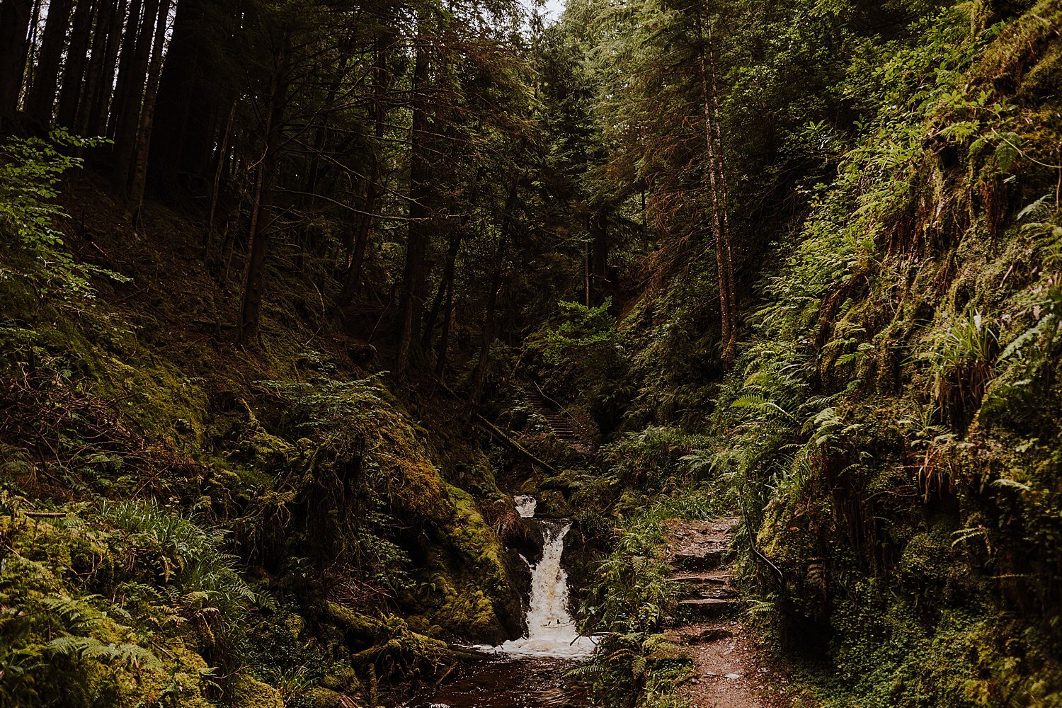 Scotland_0134.jpg