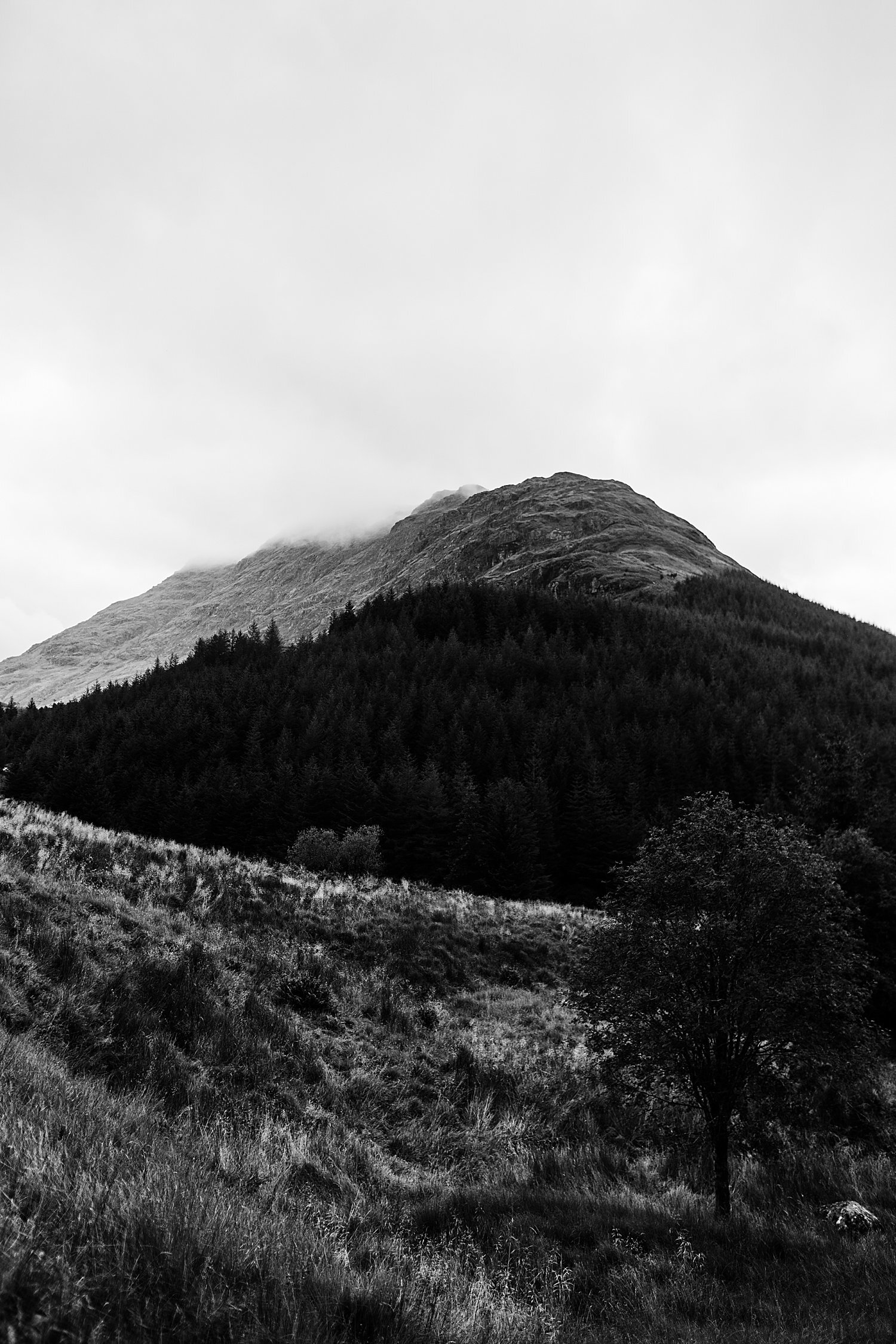 Scotland_0138.jpg