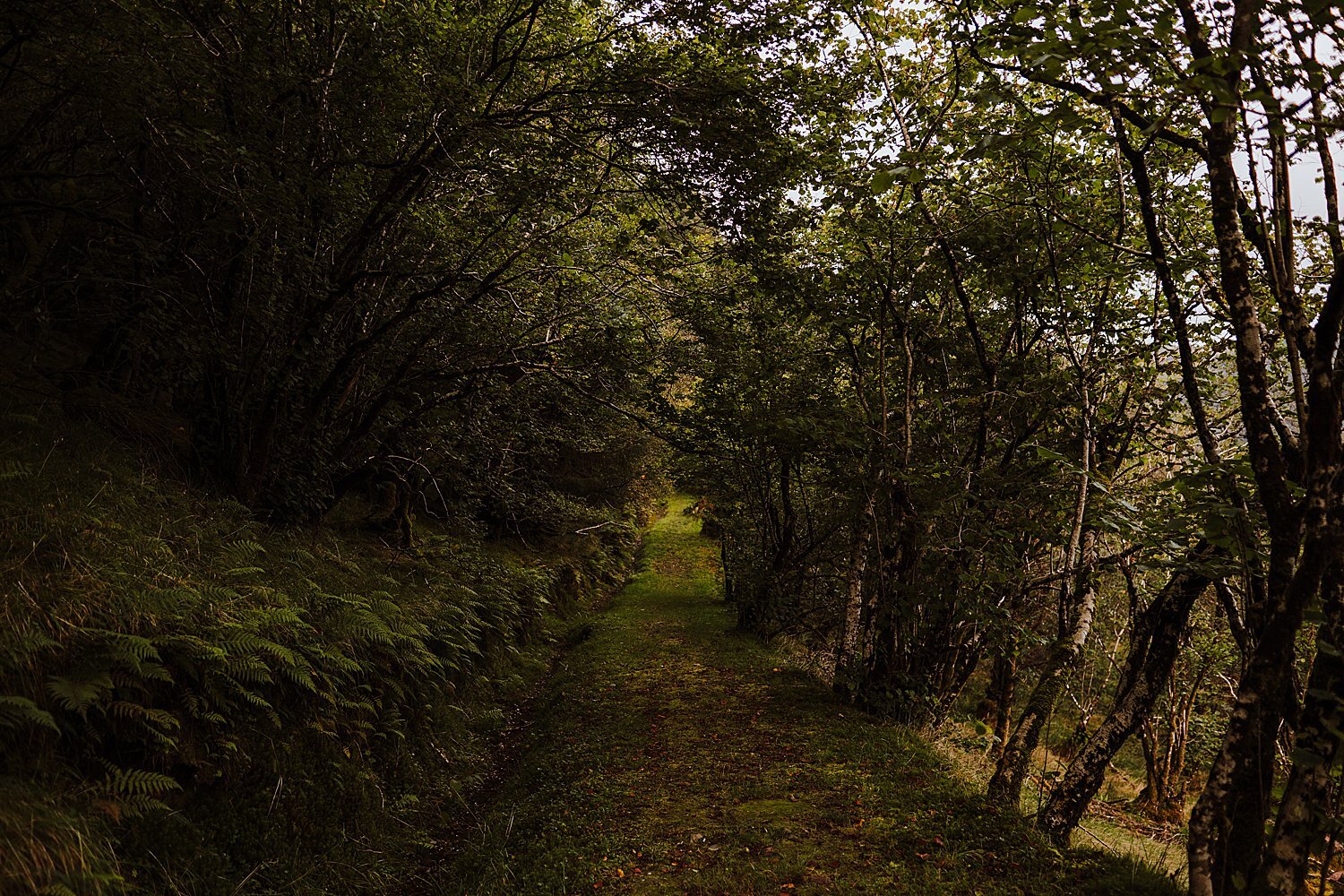 Scotland_0141.jpg