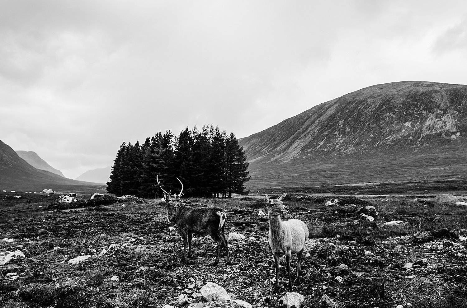 Scotland_0147.jpg