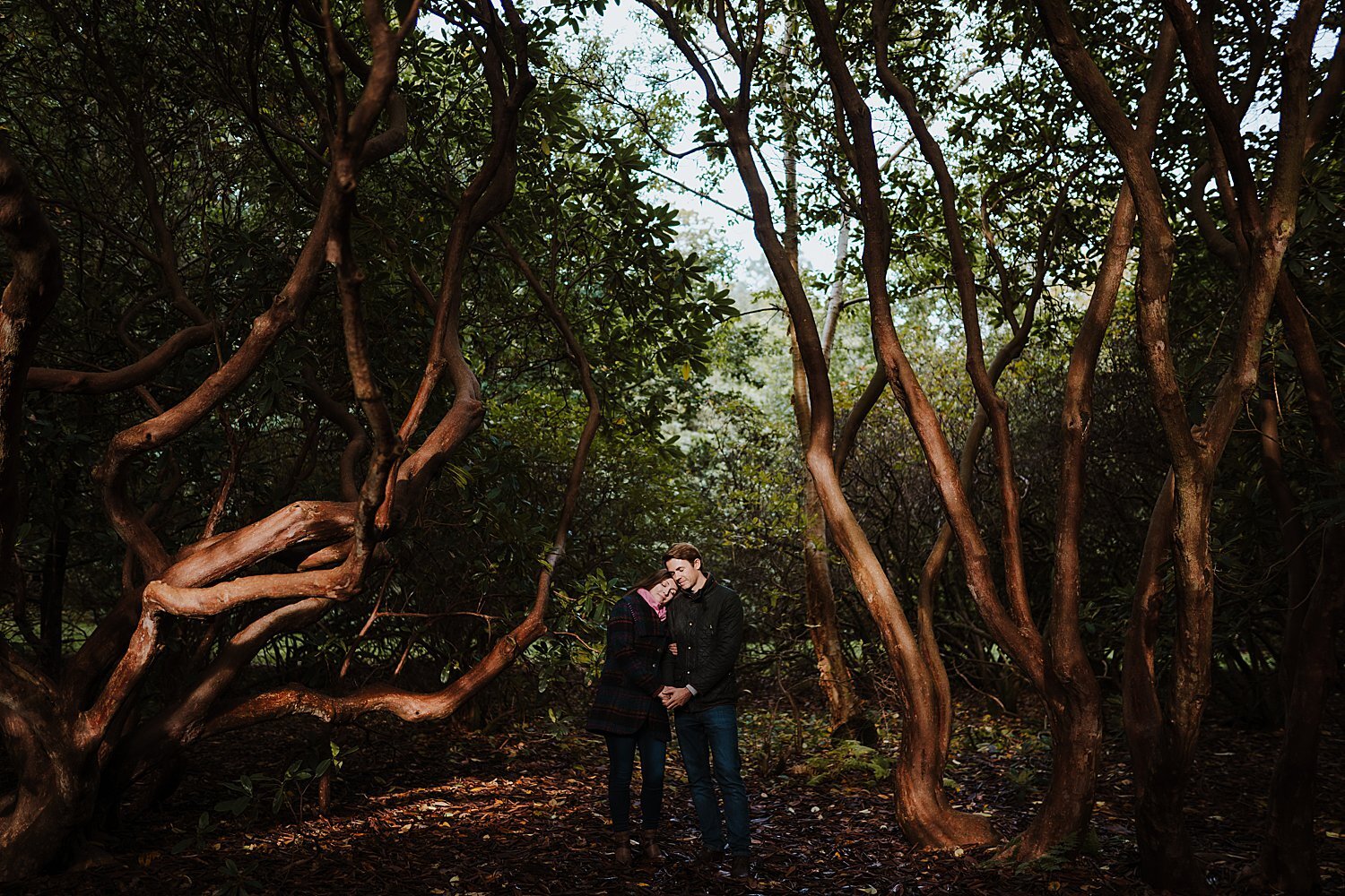 Sheffield Park wedding photographer in Sussex. An Autumnal engagement shoot.
