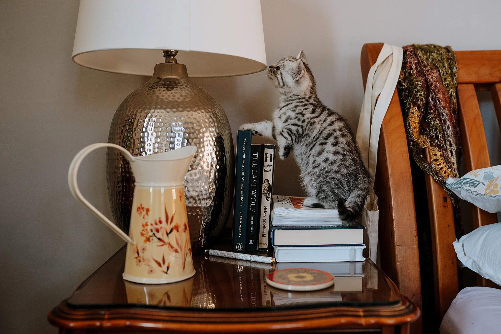 Life in lockdown with four kittens.