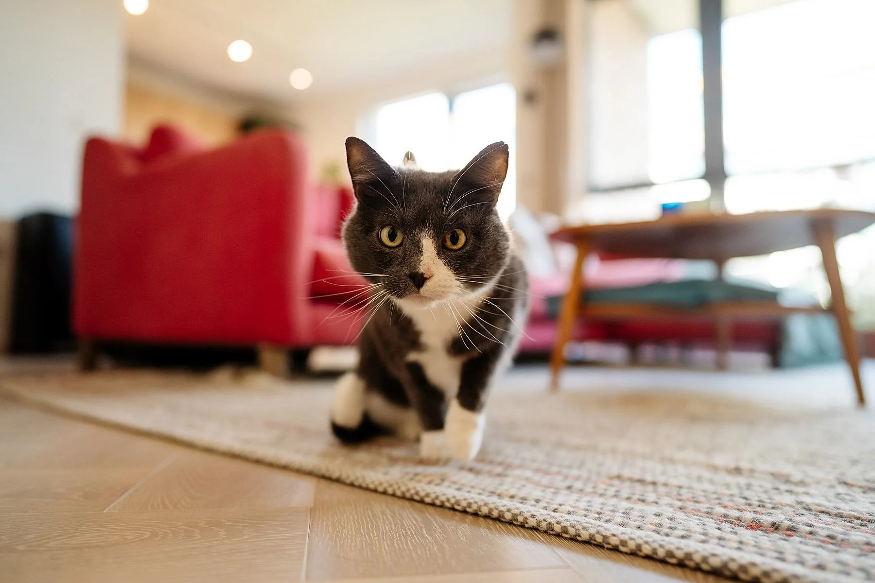 Museum of the Home, an East London Wedding Venue