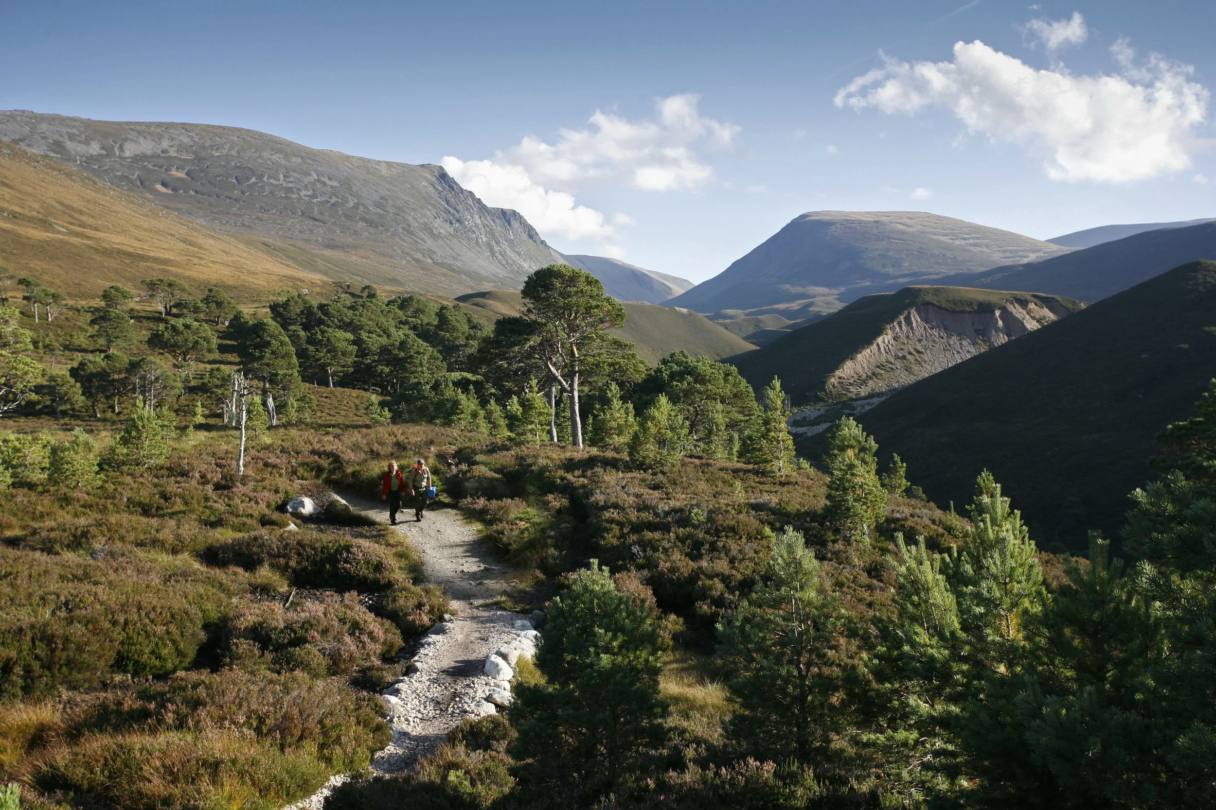 visitscotland_26785008854.jpg