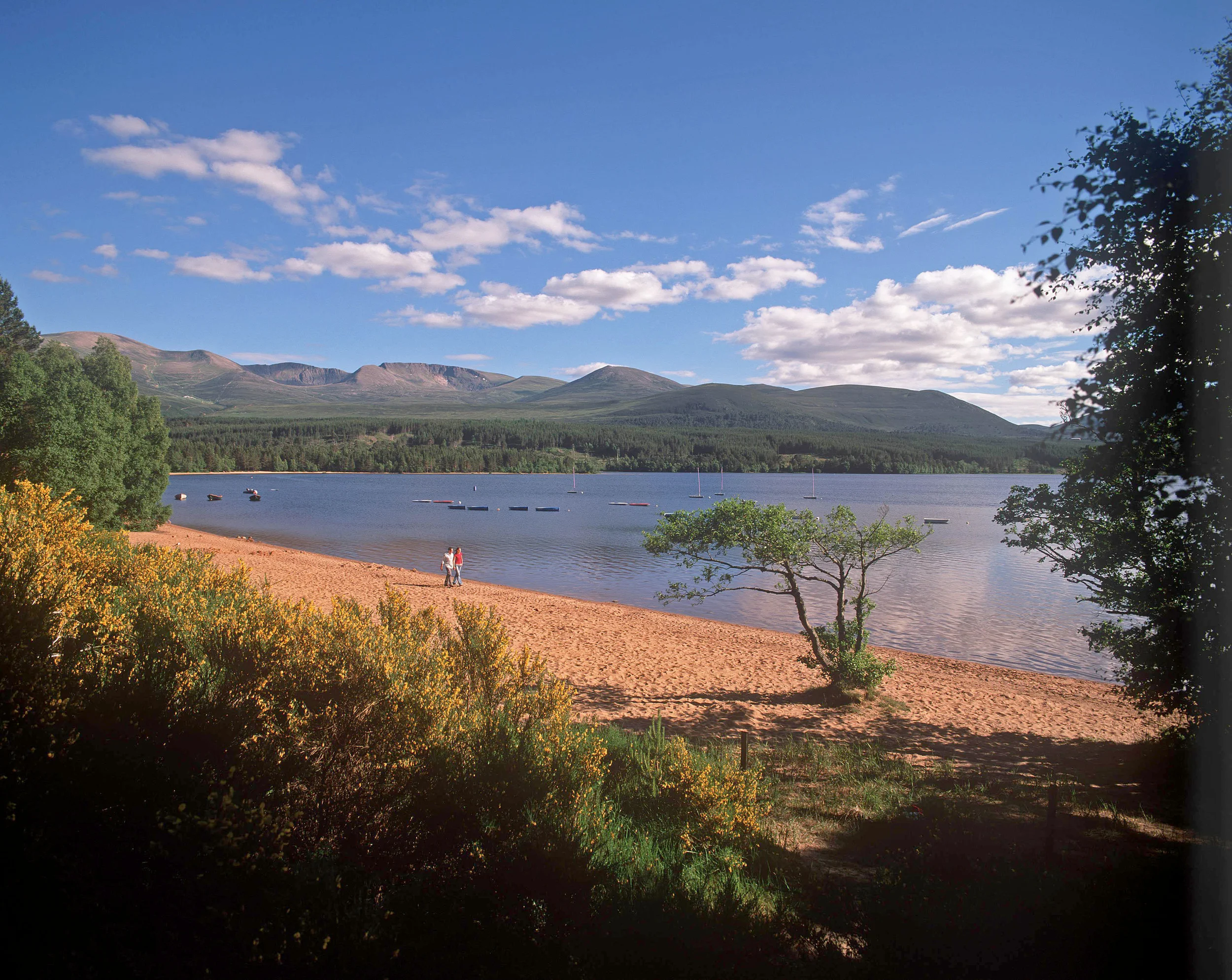 Loch Morlich, near Aviemore