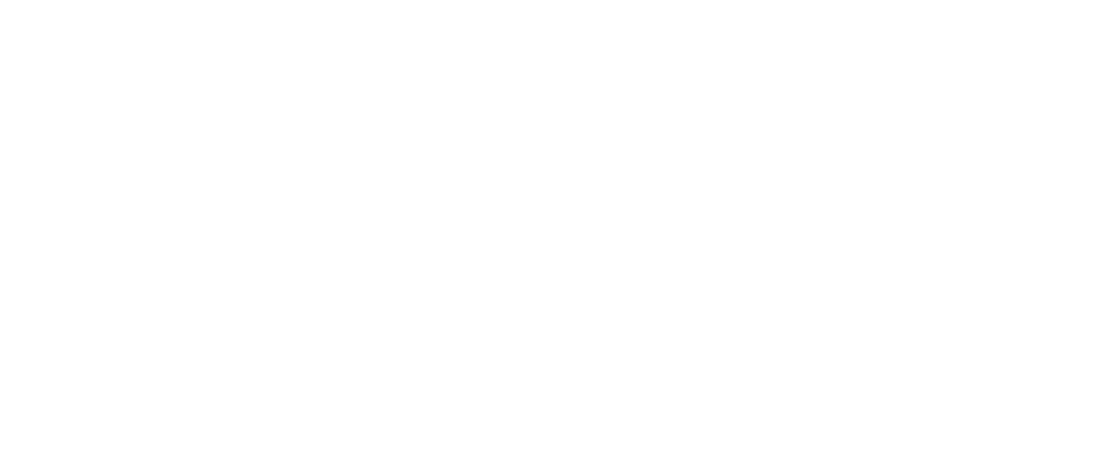 NC State Fair.png
