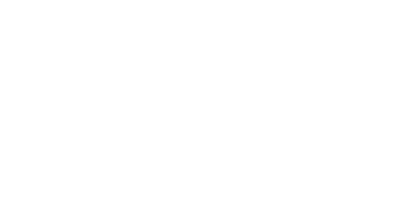 Raleigh Symphony Orchestra.png