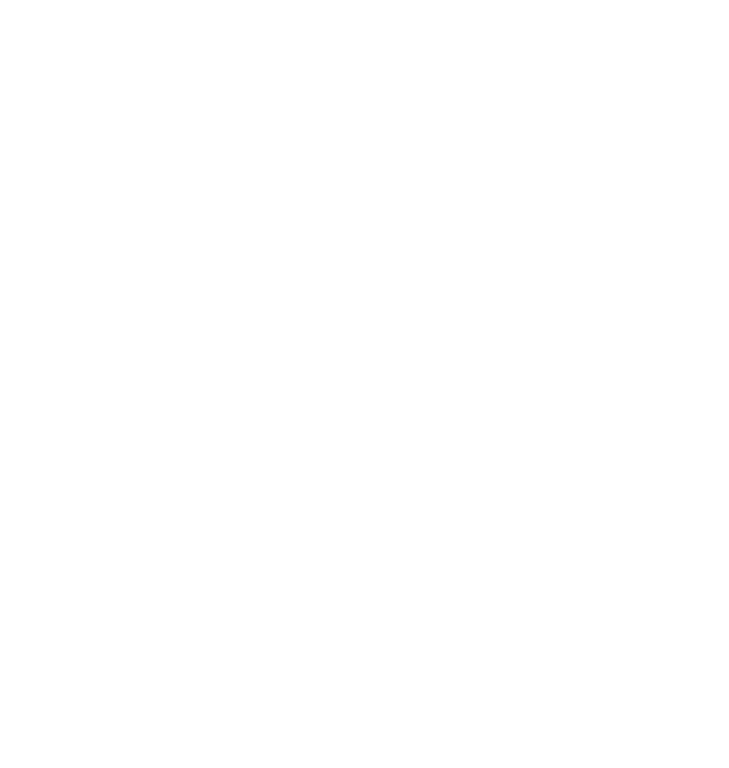 Salty Turtle Beer Co..png