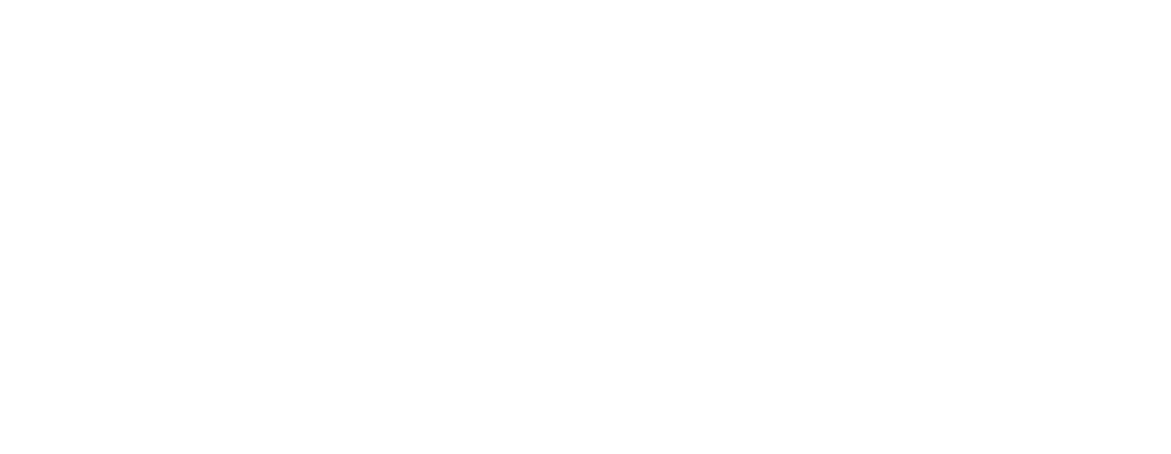 The Zen Succulent.png