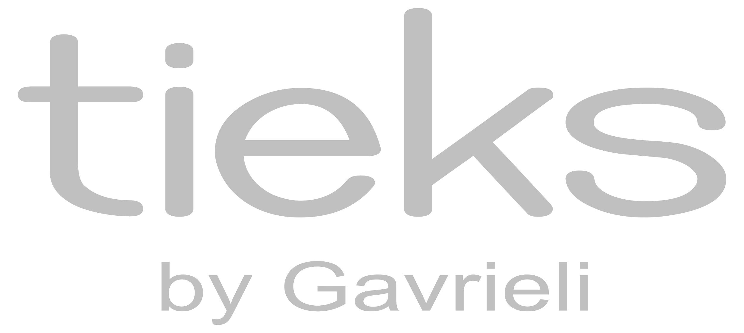 tieks - Silver.png