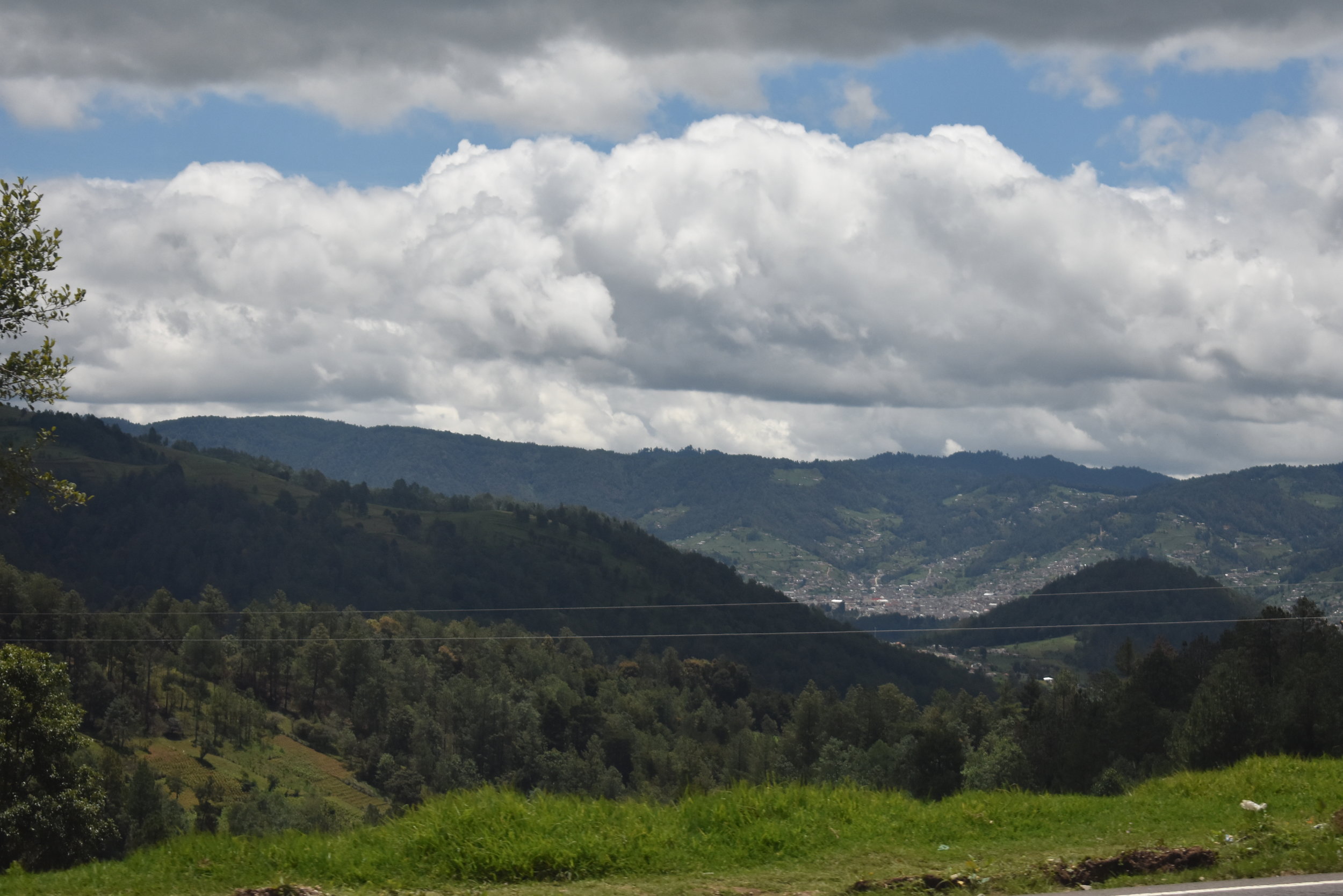 DSC_0381.JPG