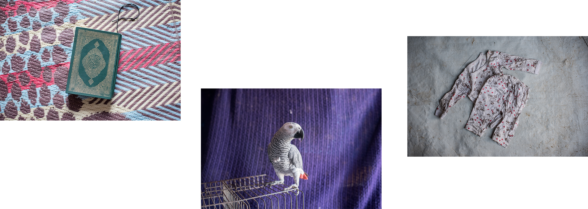 FPbanner11.jpg