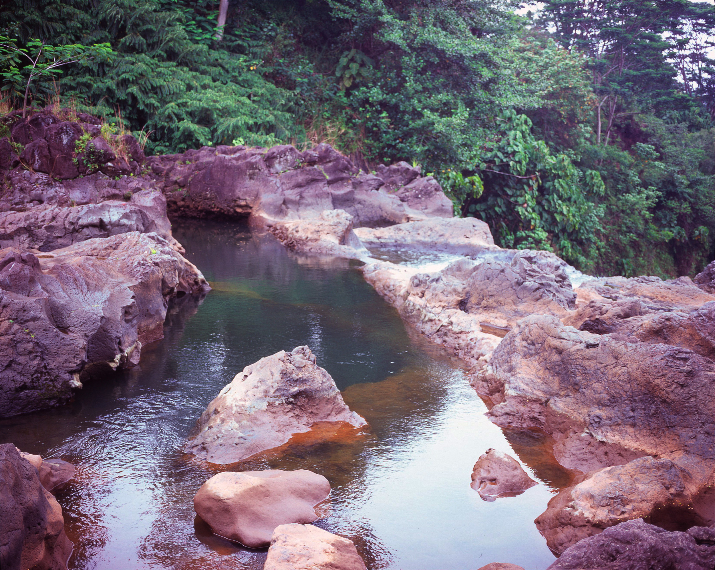 mamiya058.jpg