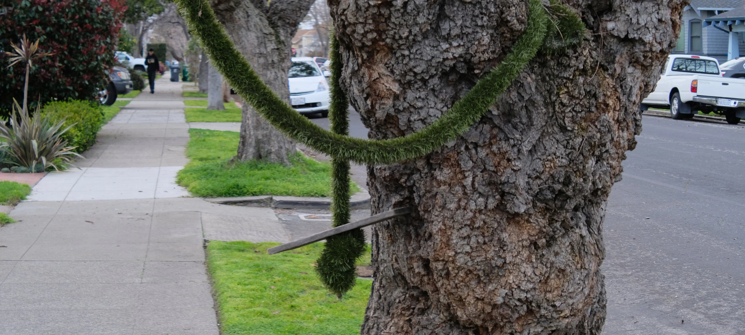 tree swing.jpg