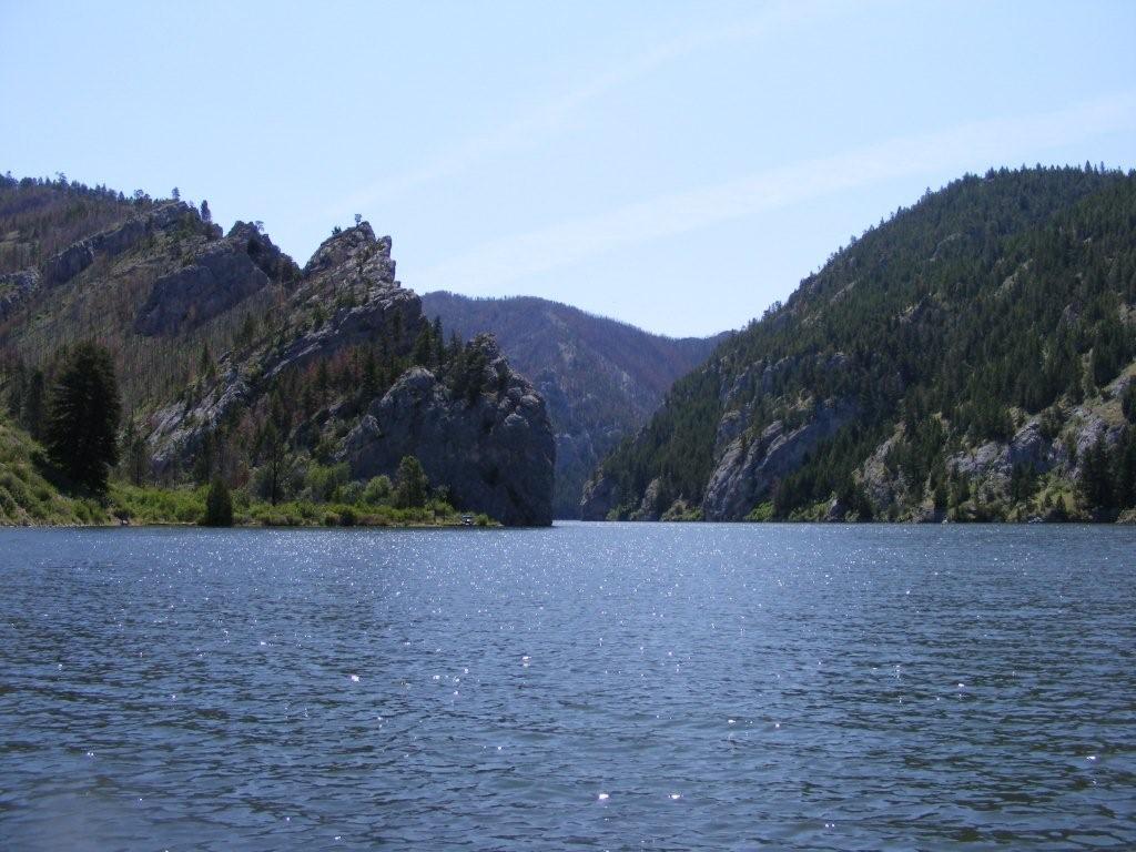LOG pic 5.jpg