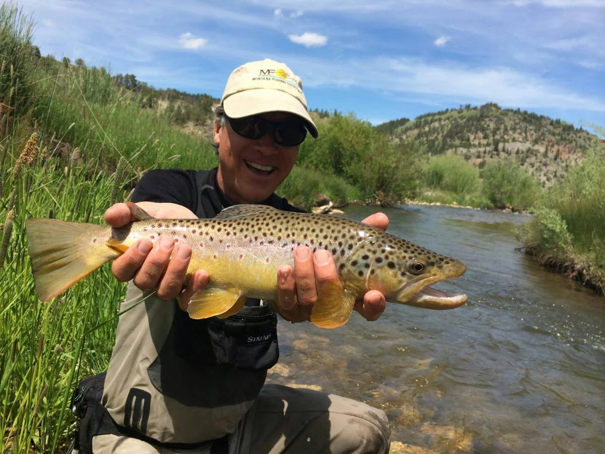 MFO creek shot.jpg