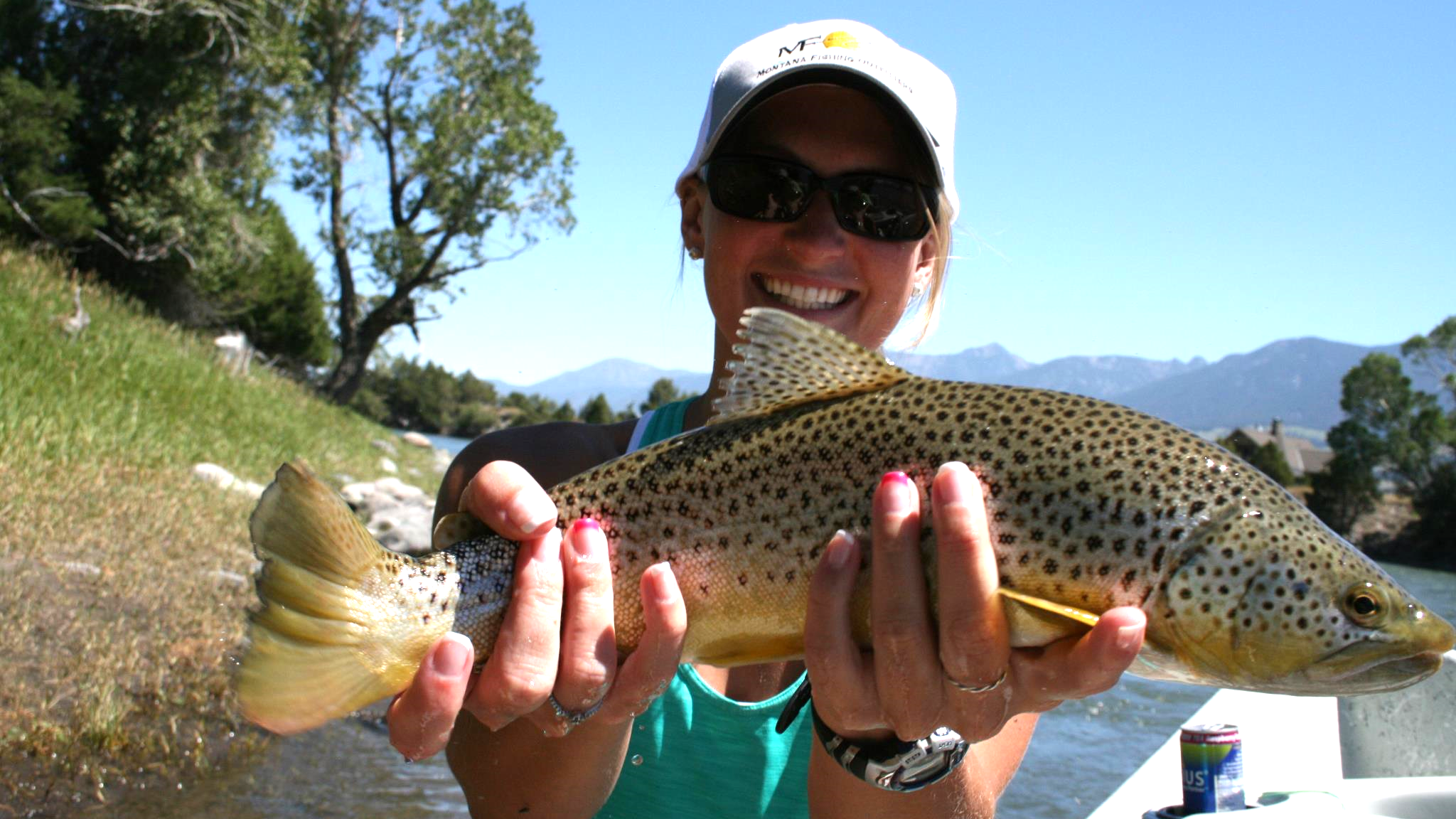 Madison River Brown Trout