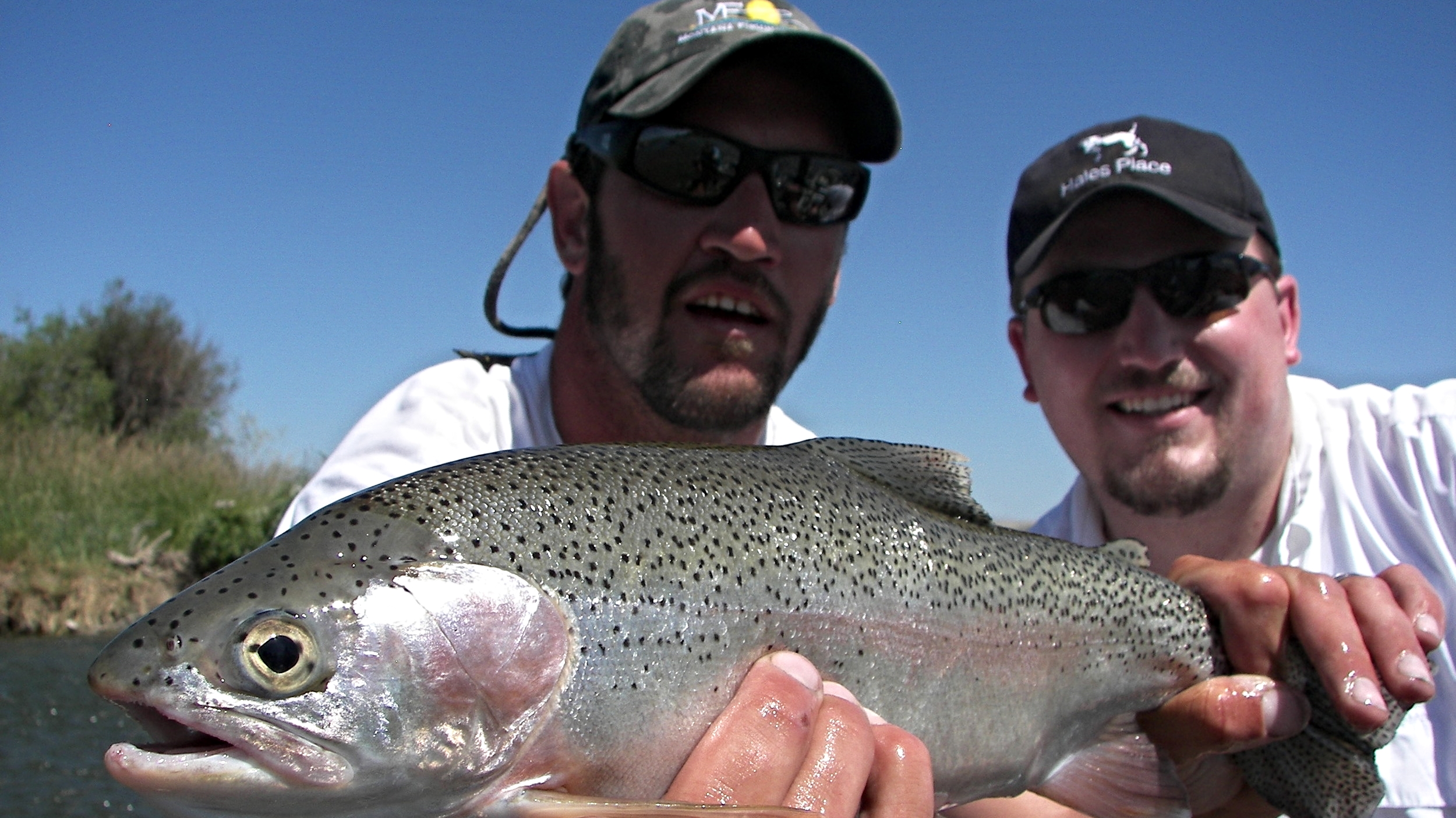 Gallatin River Fly Fishing