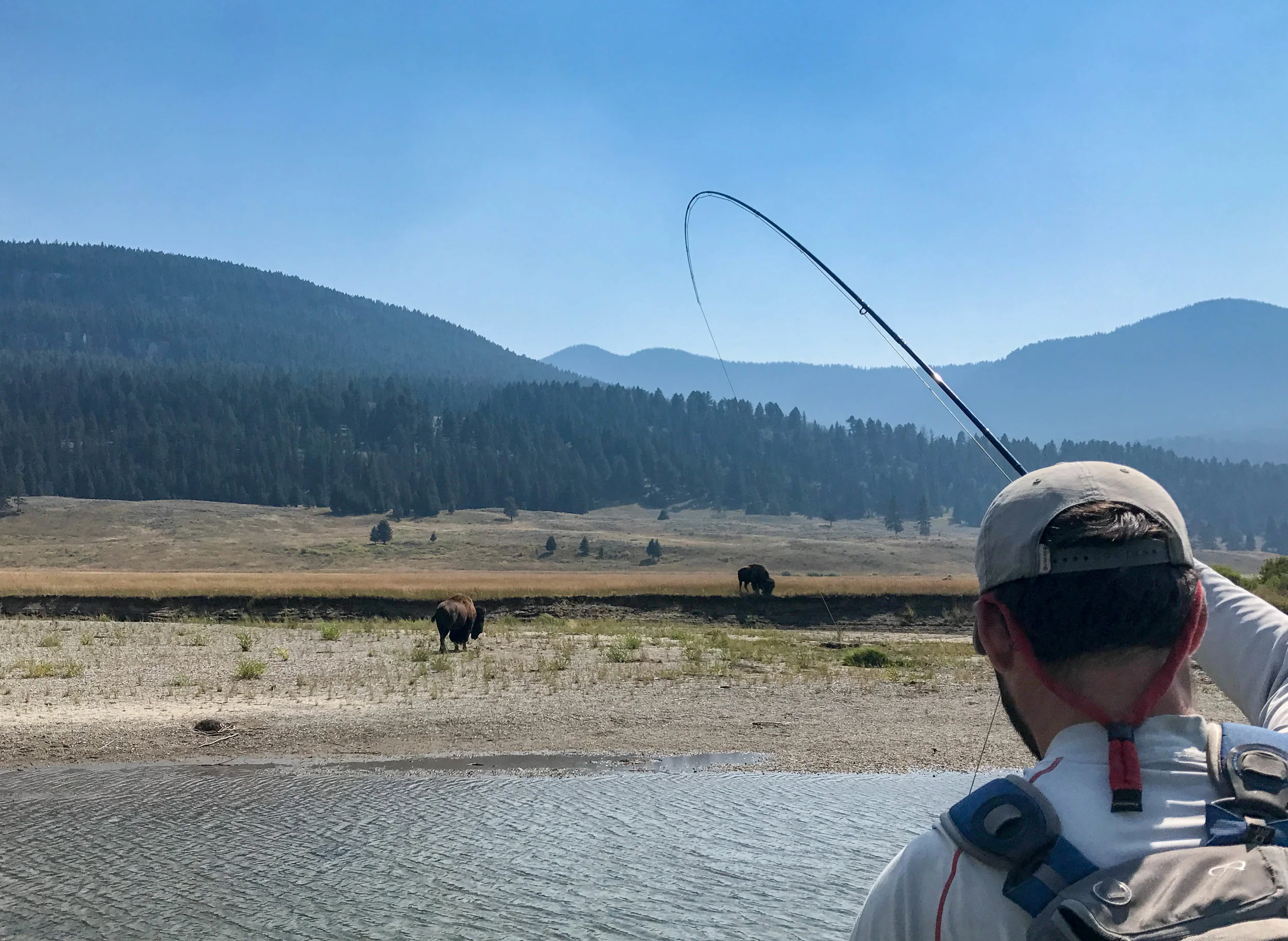 A rare summer day off to fish with the buffalo in YNP.