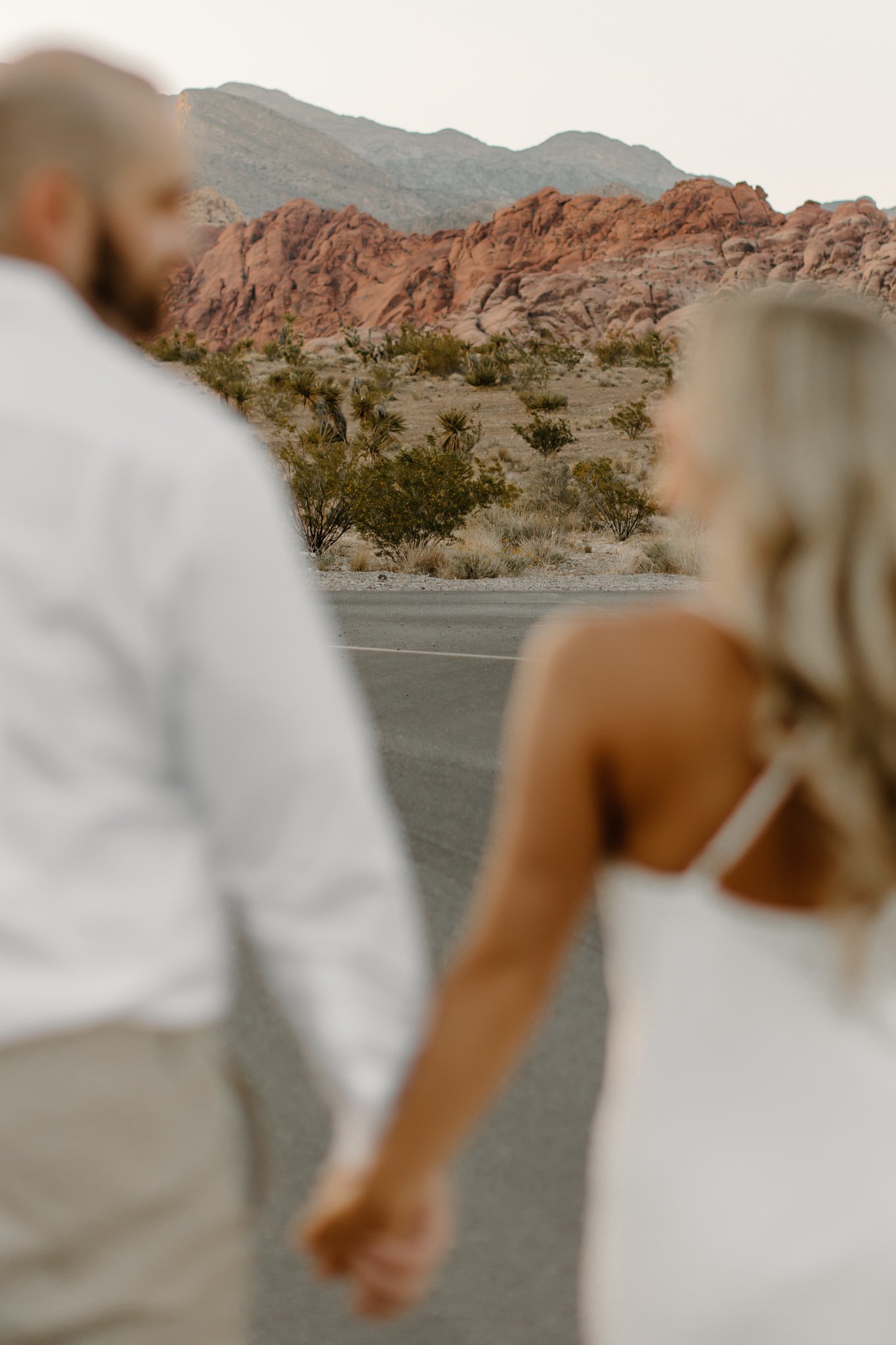 red-rock-canyon-elopement_las-vegas-nevada_taylor-marie-parker-11.jpg