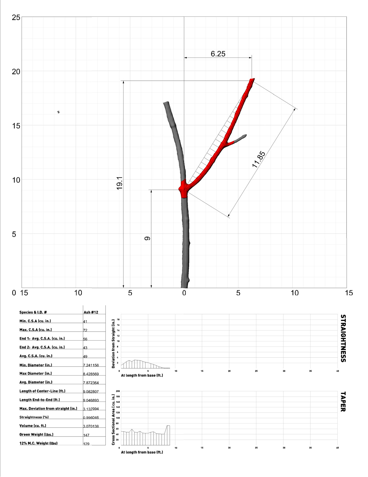 Tree_12_Spec3.jpg