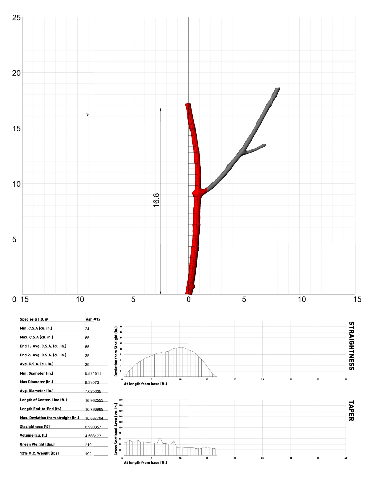 Tree_12_Spec5.jpg