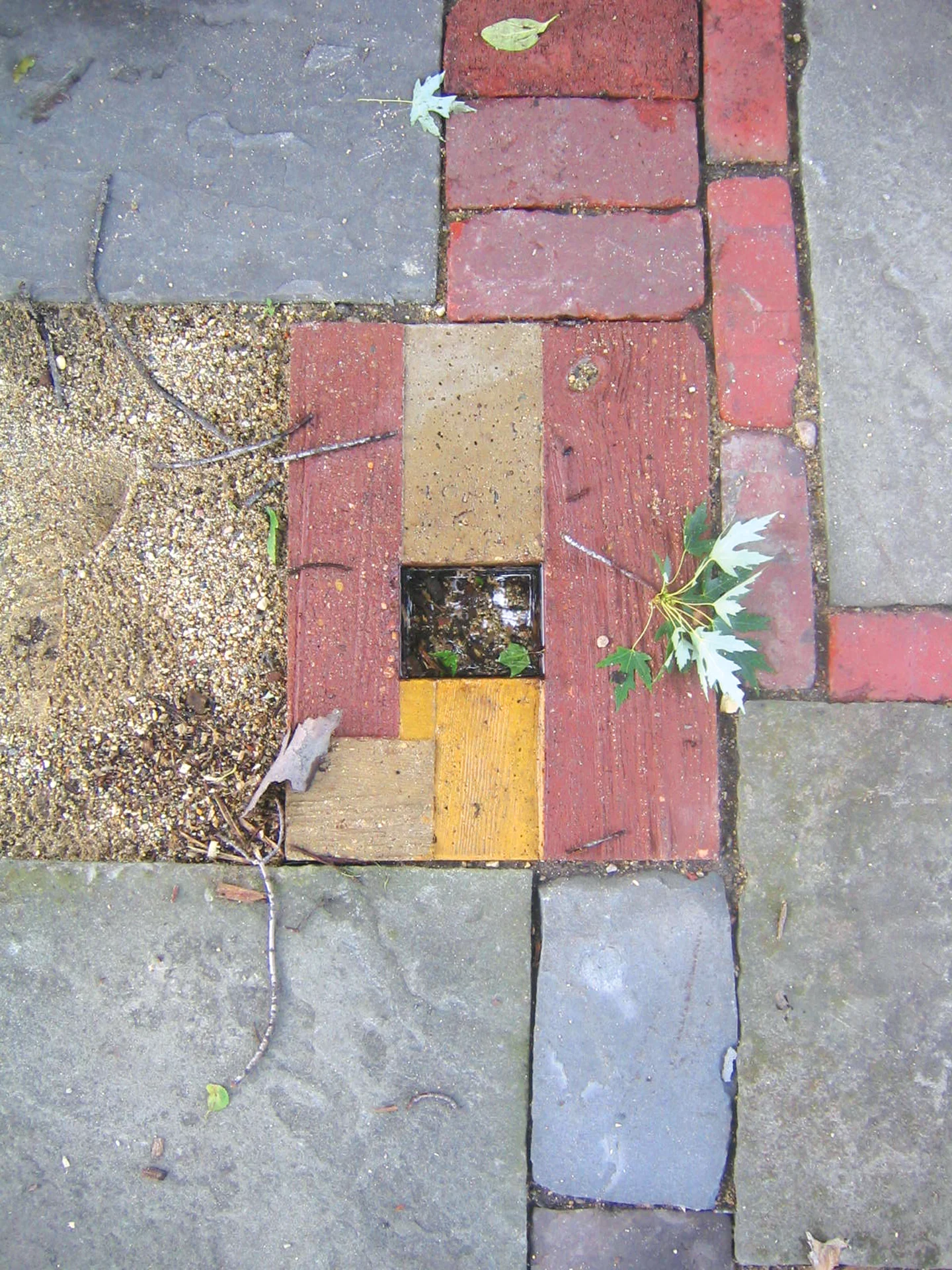 Ted-Pavers-1.jpg