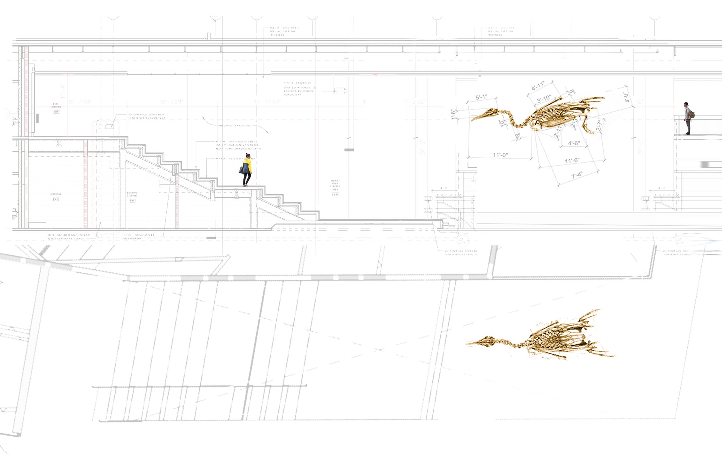 Sketch Collage, Plan and Section. 