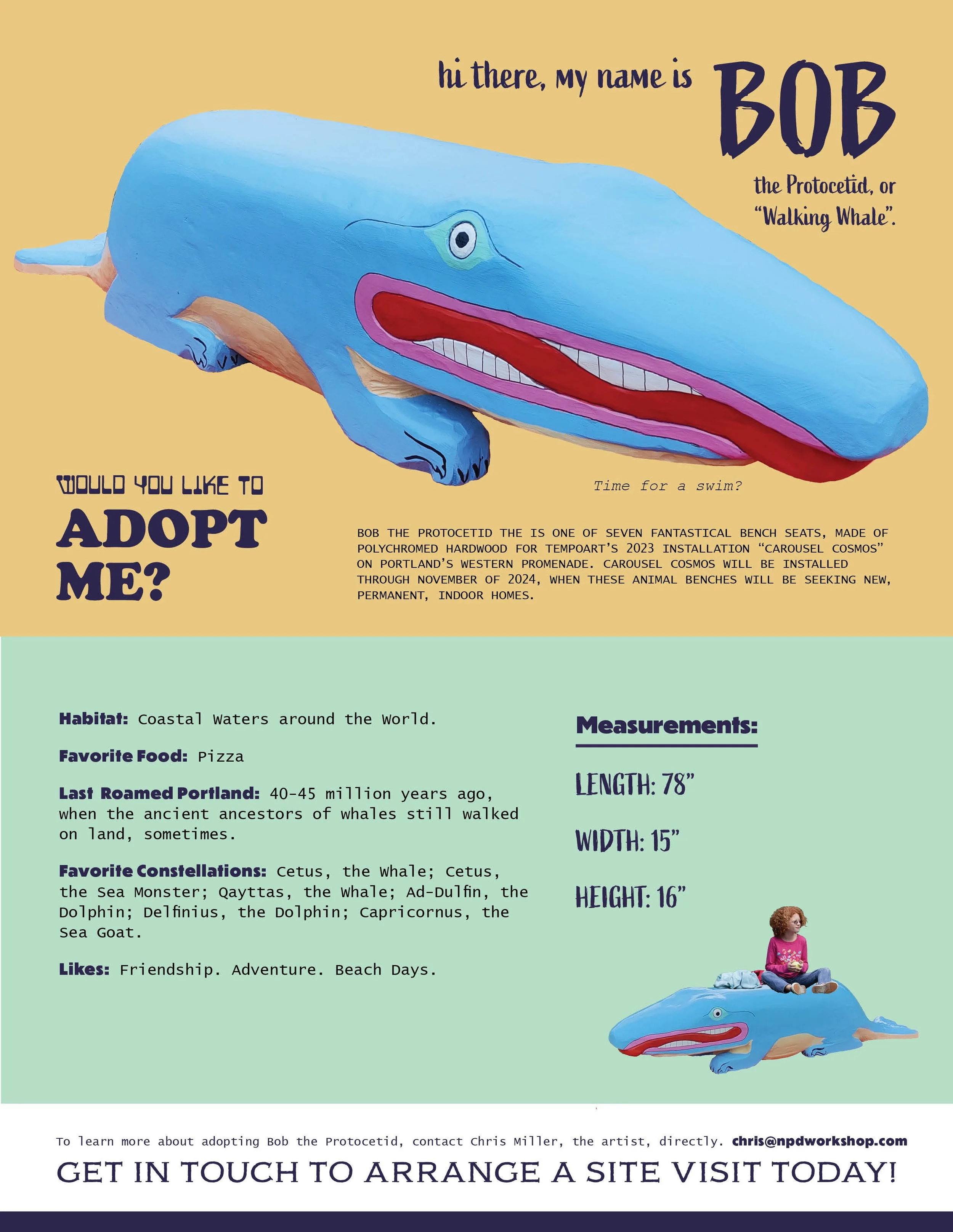 CarouselCosmos_AdoptionPosters_Bob.jpg