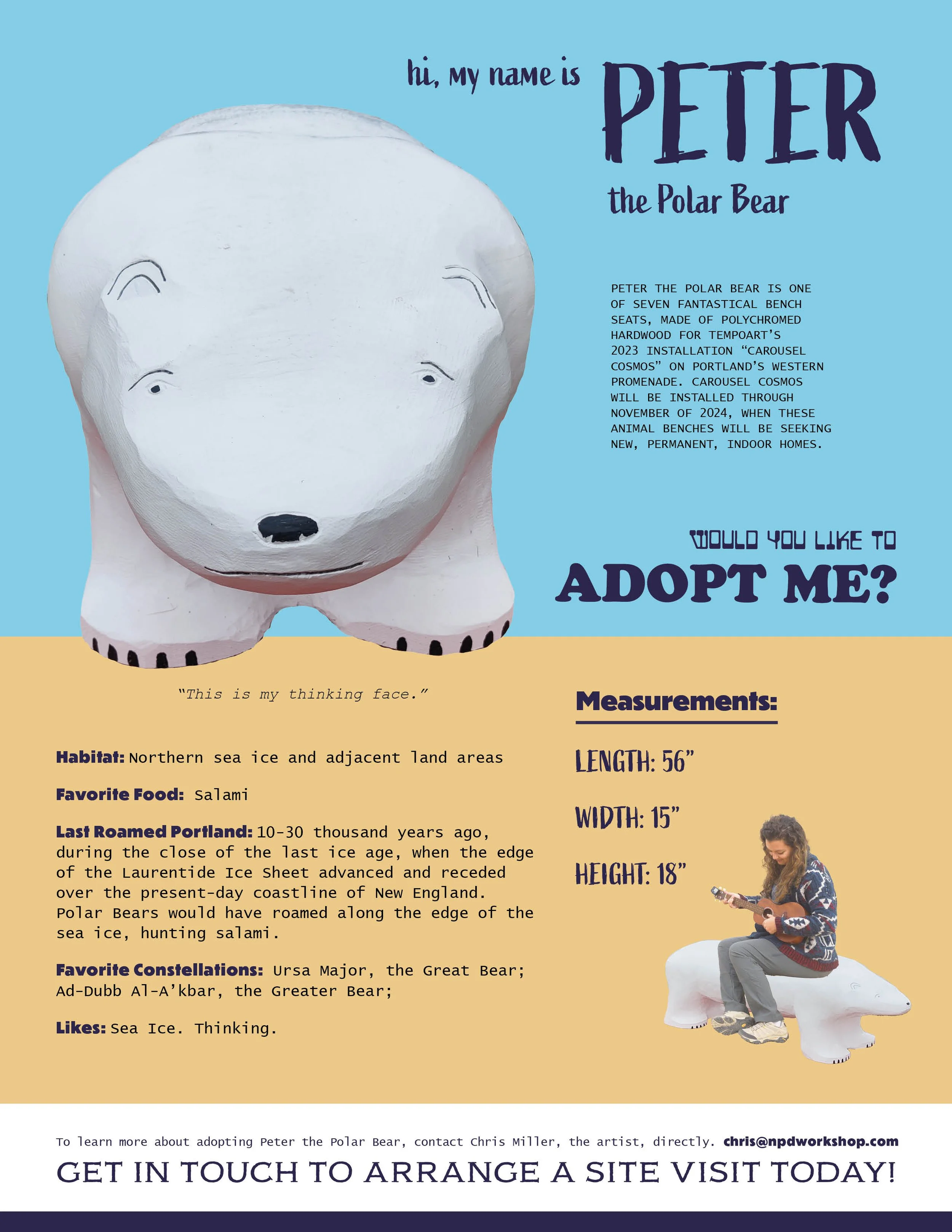CarouselCosmos_AdoptionPosters_Peter.jpg