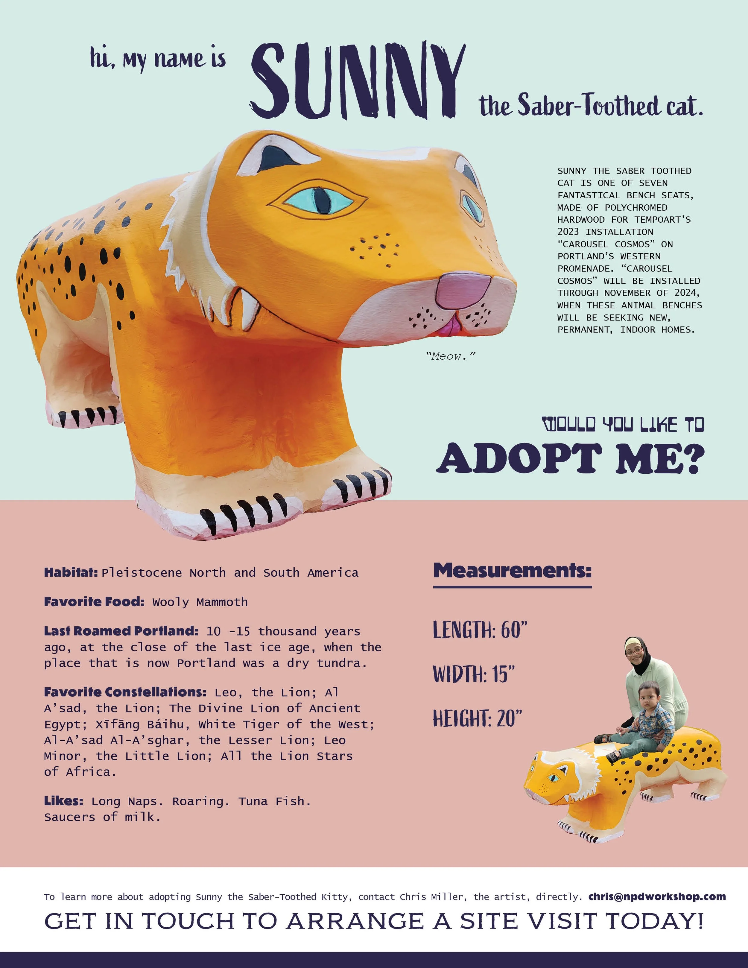 CarouselCosmos_AdoptionPosters_Sunny.jpg