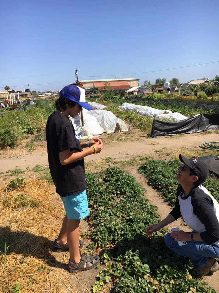 Autism Tree Project Food, Farming and Nutrition Program. #5