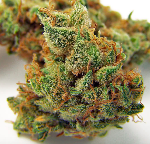 Buy-Jillybean-Boutique-Craft-Cannabis-Strain-Buds-Grown-in-BC-Canada-via-Mail-Order-1-600x575.png