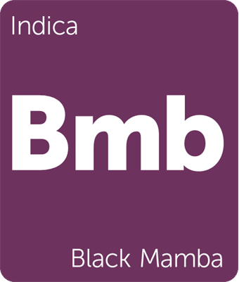 blackmamba.png