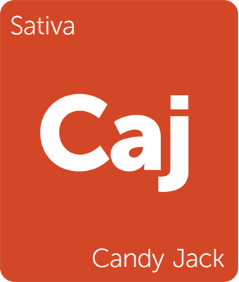 candy Jack.png