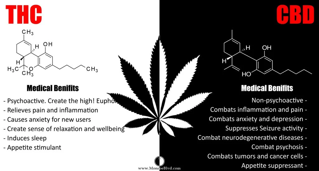 THC_vs_CBD_a082d14a-2e6d-4300-a76d-f5163b60a058_1024x1024.jpg