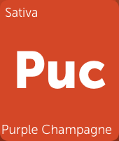 Screenshot-2018-2-15 Purple Champagne Cannabis Strain Information.png