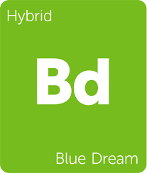 bluedreambanner.png