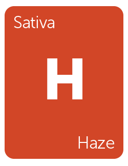 oCTdgMUSQt225CAROwJ3_Haze.png