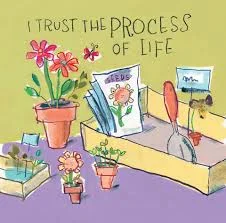 process.jpg