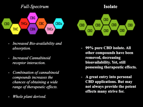 full-spectrum-cbd-vs-cbd-isolate-which-is-better.png