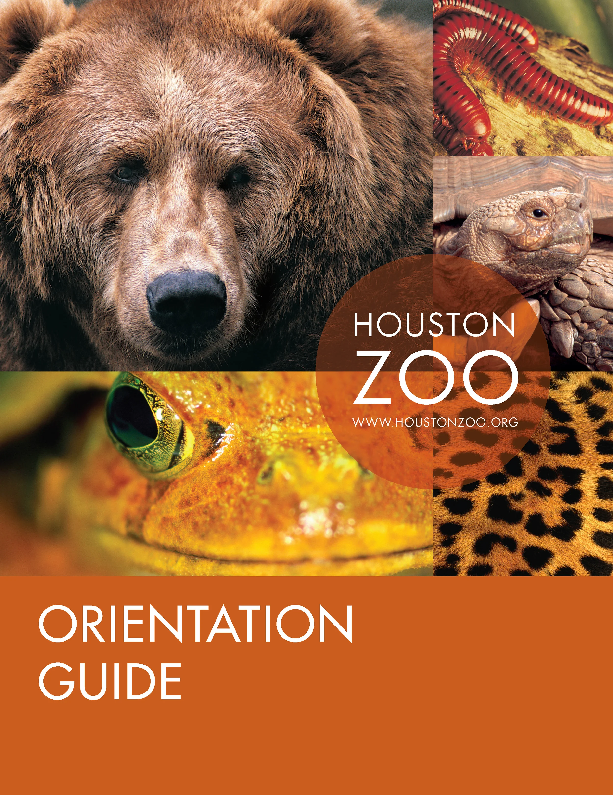 HZI_OrientationCover_PRESS_V2_Page_1.jpg