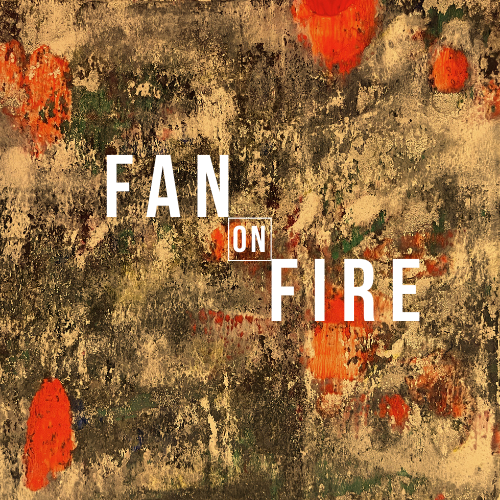 Fan on Fire at Constellation with Twin Talk