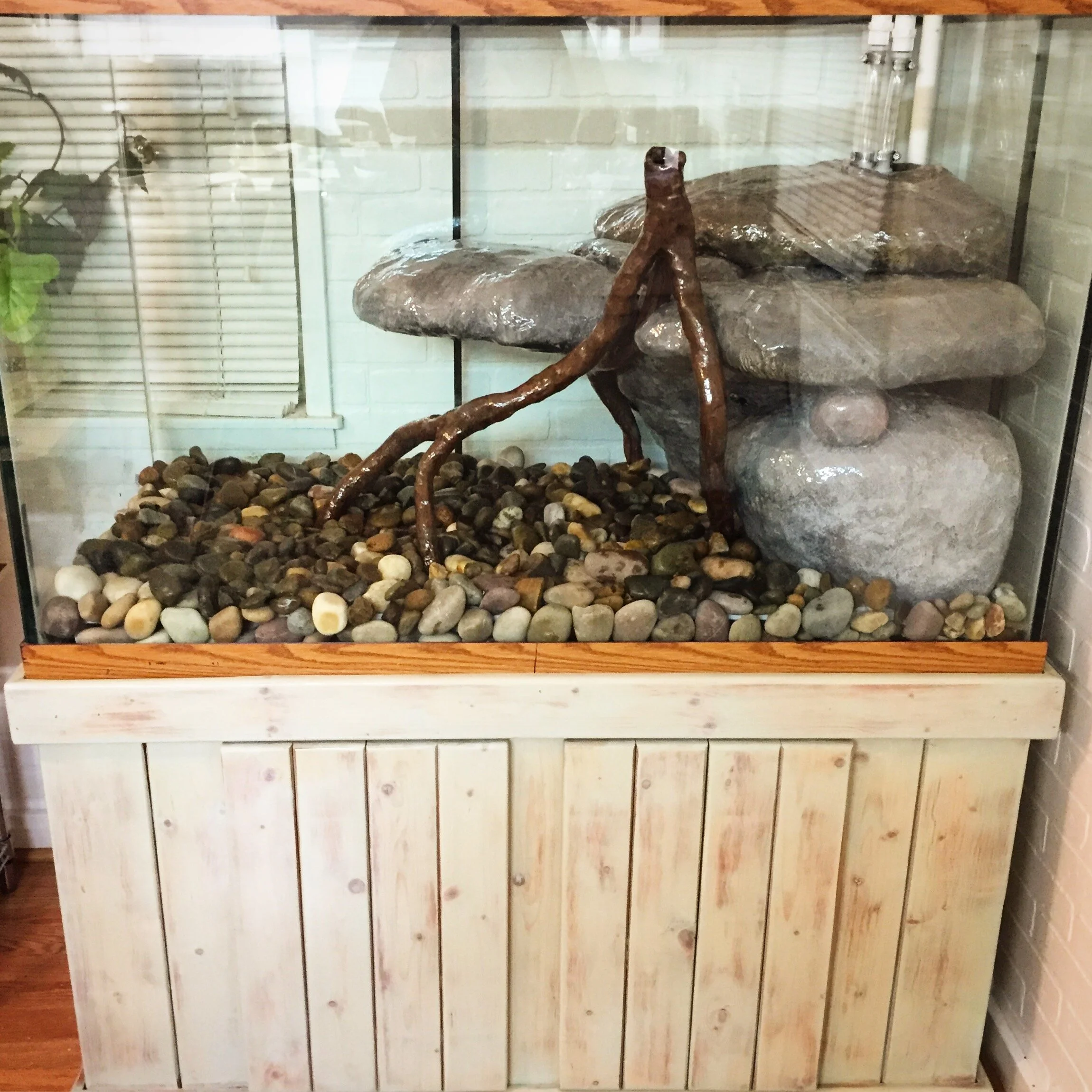 Custom turtle tank