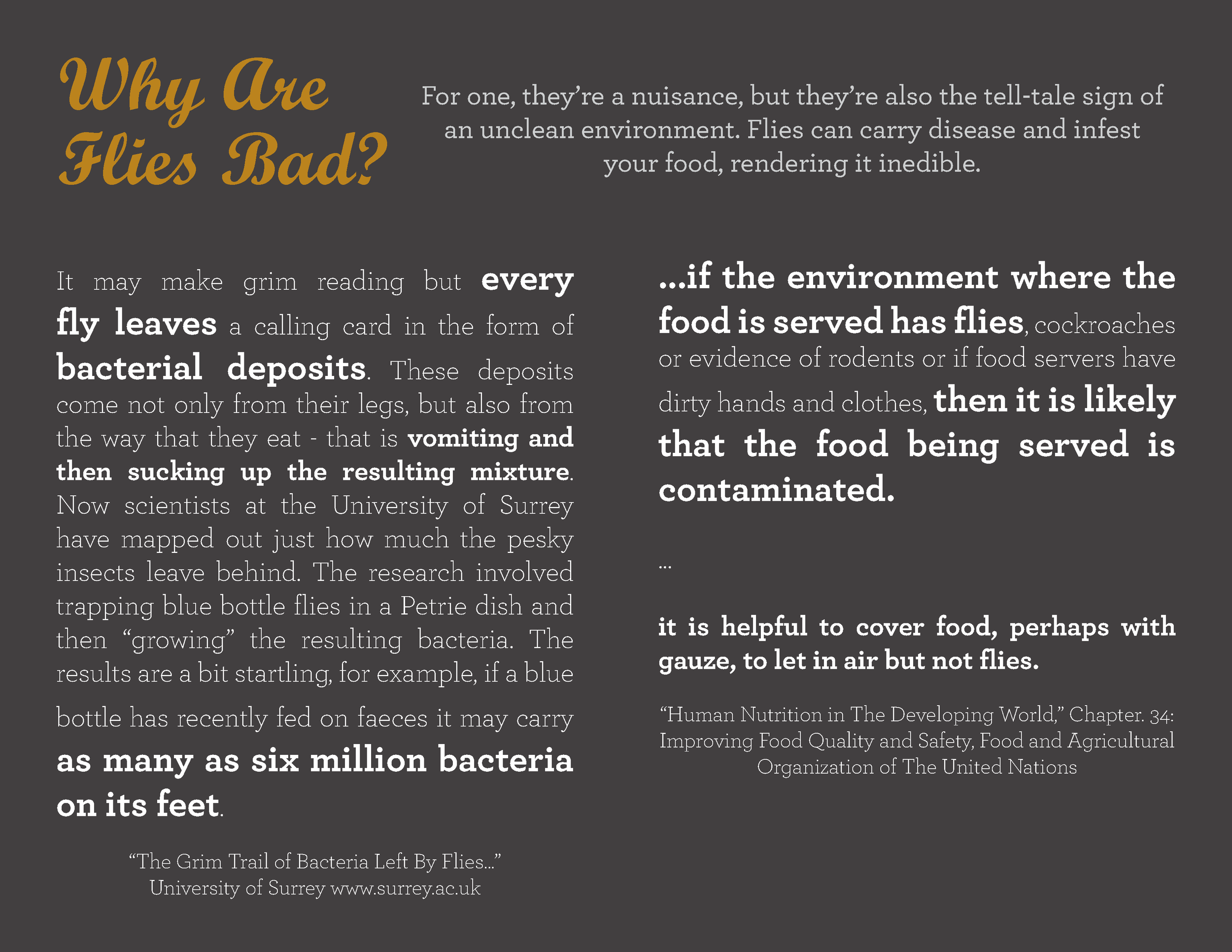 file-page3.png