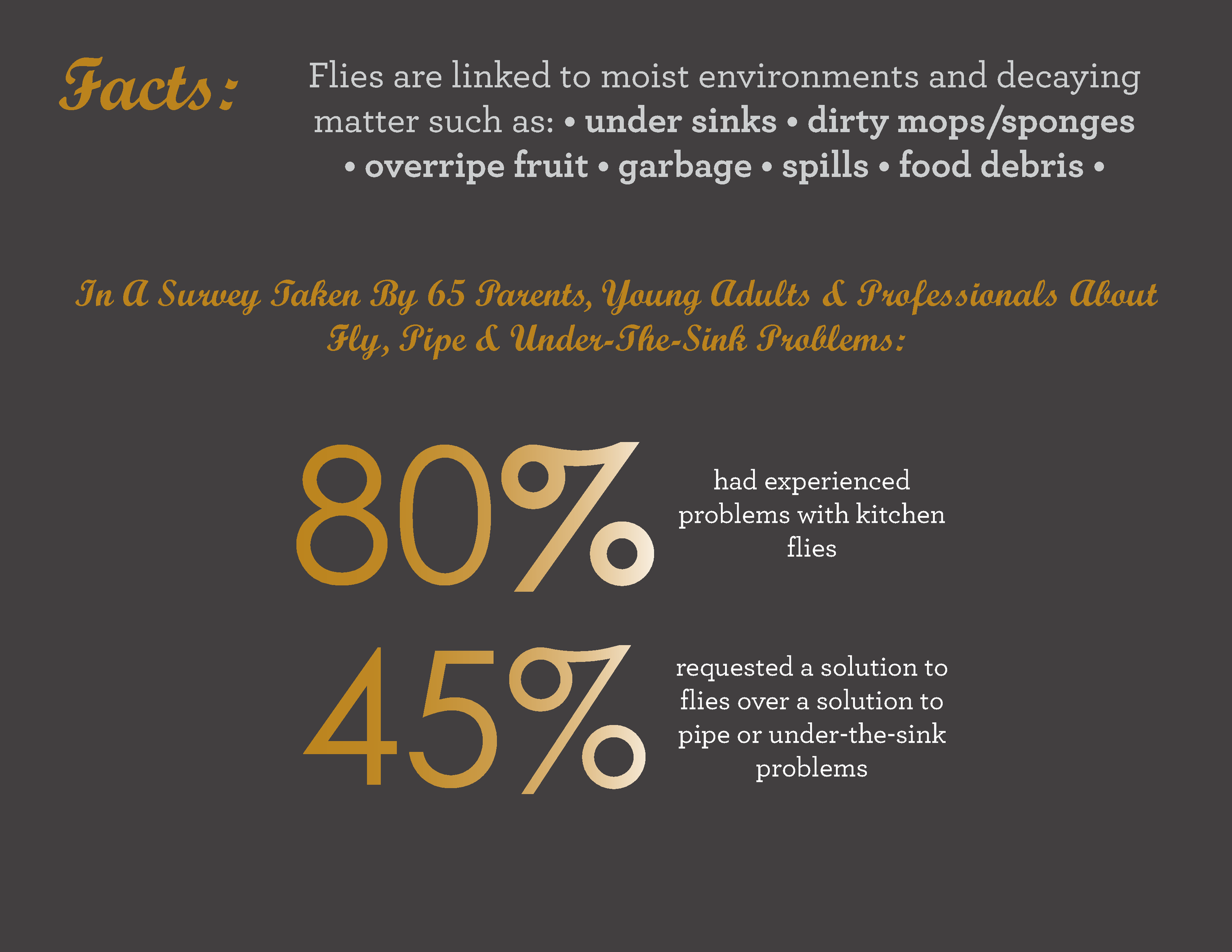 file-page5.png