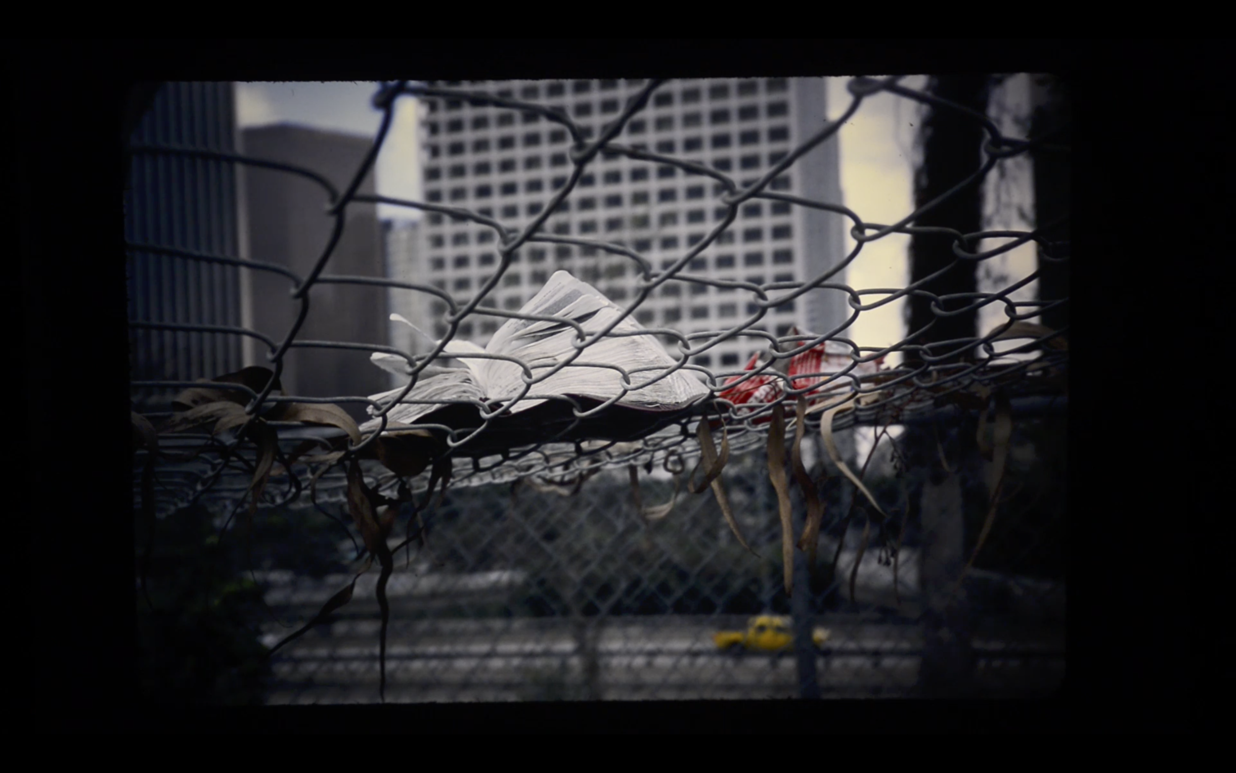LA 82 , Slideshow. Link to Video