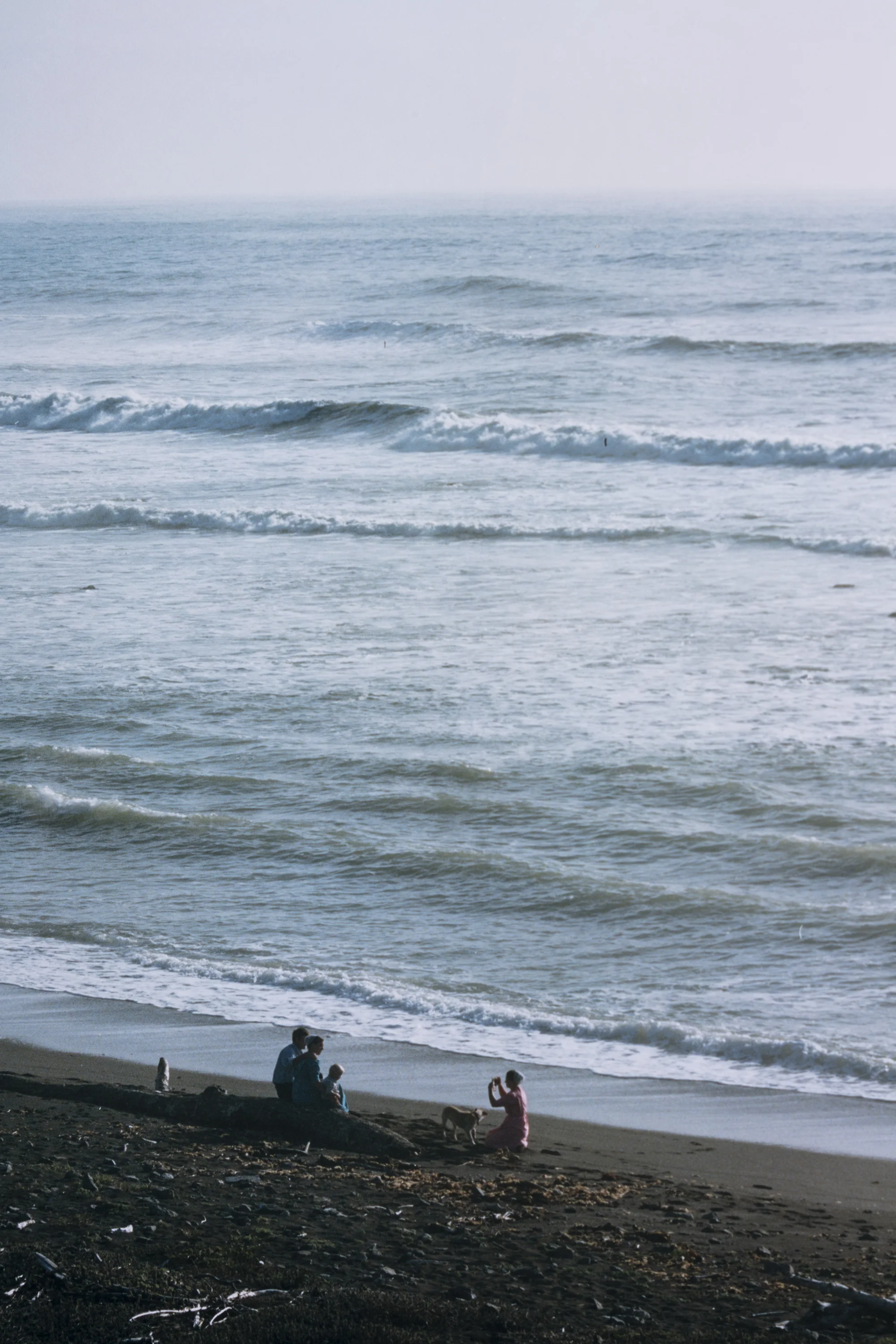 Antoine Midant Lost Coast , 50 in x 64 in, C-Print. (Detail)