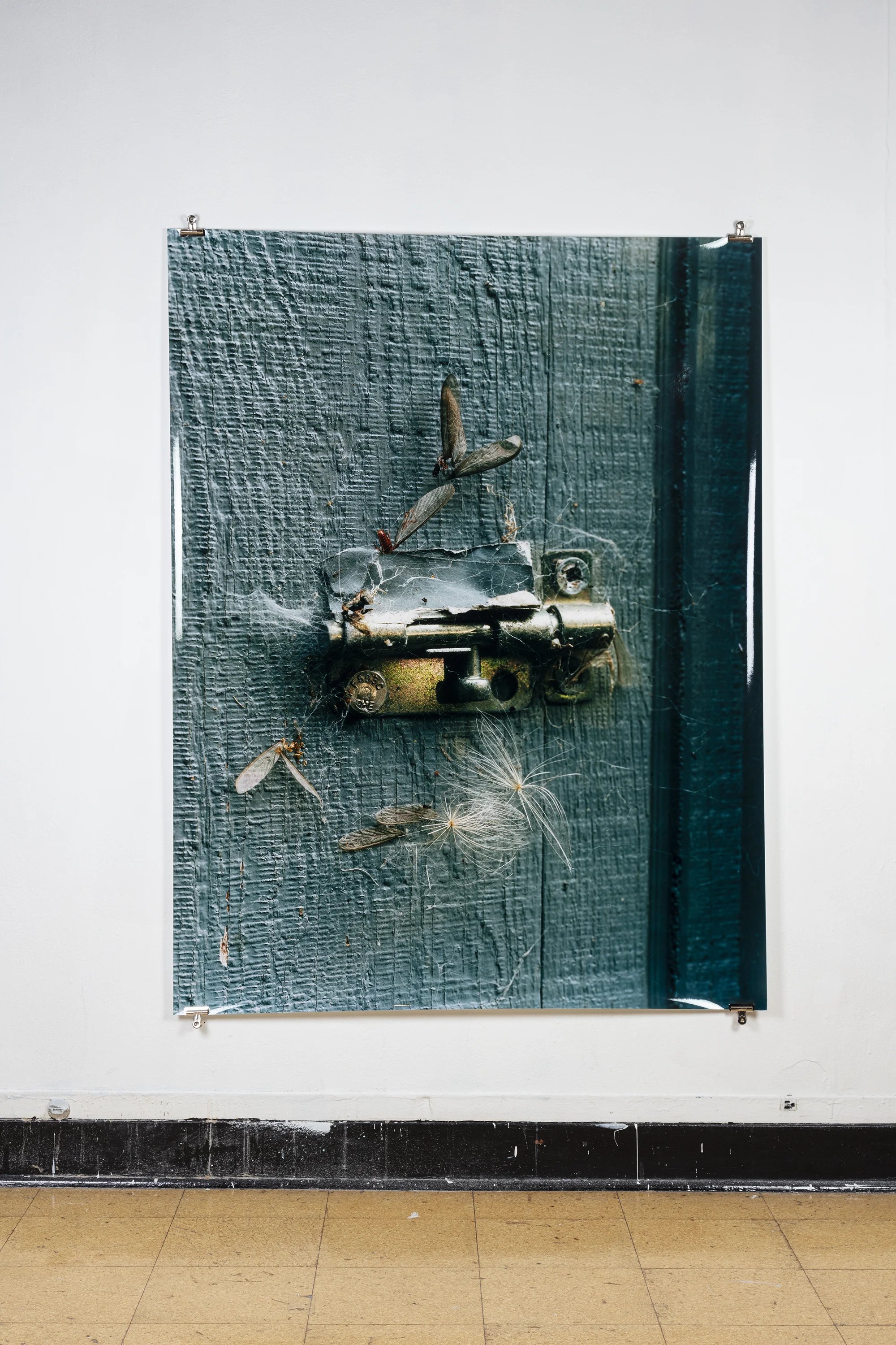 Antoine Midant Eureka, CA , 50 in x 64 in, C-Print.